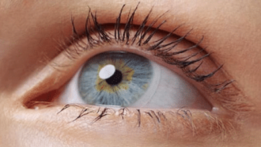 Tips for Contact Lens Success